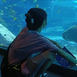 Sunday (prod.by Morrow)