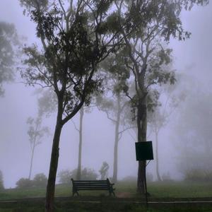 Solitude