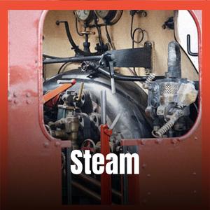 Steam