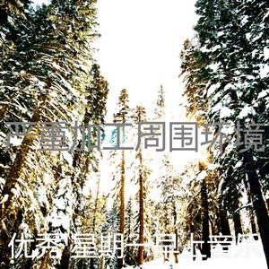 抚慰的加工回忆