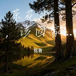 茶花开了，该回家了 (Cover 加木 & 王睿卓)