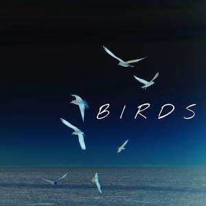 Birds (feat. LW & Underwood Beats) (Lofi)