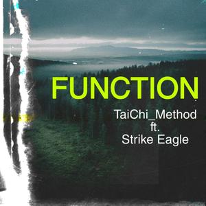 Function (feat. Strike Eagle)