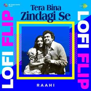 Tere Bina Zindagi Se LoFi Flip