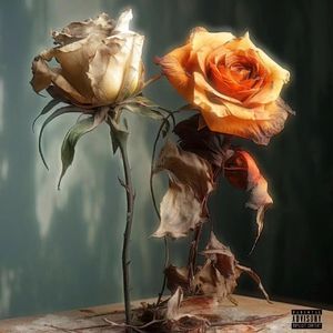 读书 买花 长大