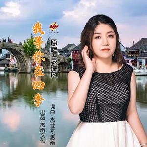 我等你在四季(舞曲版)