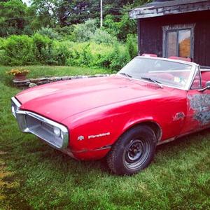 Intrepid (Live) (Live)