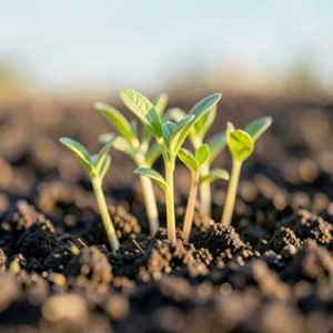 春天啊，美好时光