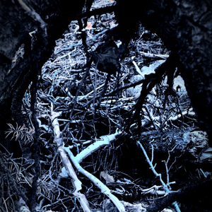 Bleak Island