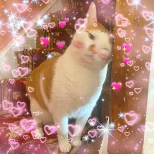 perfect (feat. America Loves Me & Fidoh)