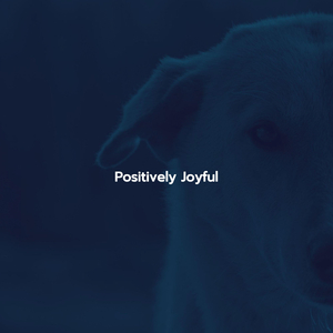 Chilled Ambience for December Journeys