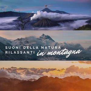 Riequilibrabre mente e corpo