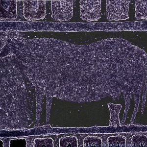 Italialaisella Laivalla