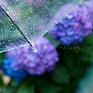 やさしさを見つけて