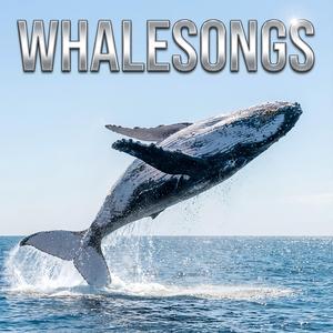 From Hervey Bay To Platypus Bay