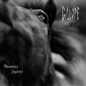 Galope