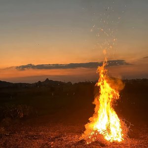 如果爱是一道选择题 那你永远是首选