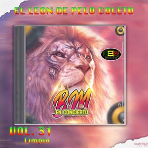 ESTAS CANCELA // Stiven Dj / Bm en Concierto Vol. 31 Limpio