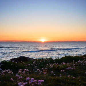 THE GOOD YOUTH（prod by Lisure）