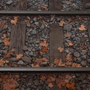 Everyone Needs a Break