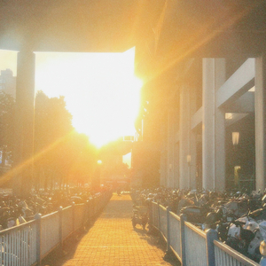 想你时风起（cover单依纯）