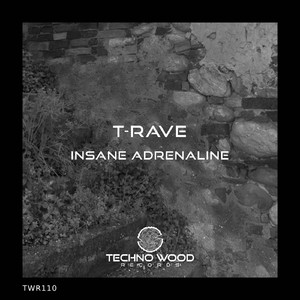 Insane Adrenaline (Original Mix)