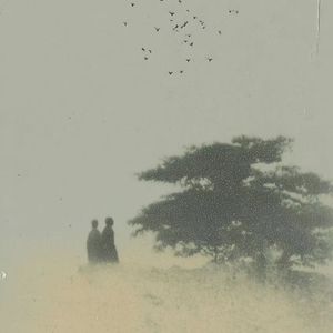 Pagewind（afterschool）