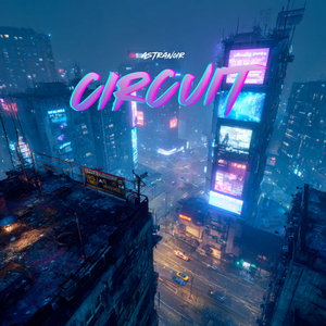 Circuit