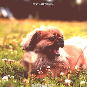 柔和的可爱的狗时刻