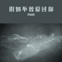 假如不曾爱过你
