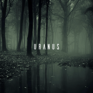 【Free】‘Bell’