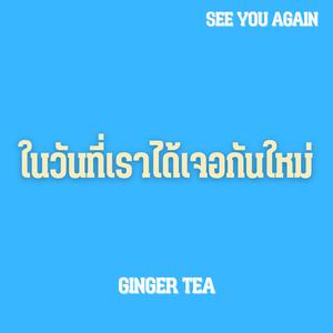 ในวันที่เราได้เจอกันใหม่ (See you again)