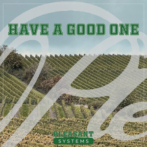 Seashells (Treasure Mix)