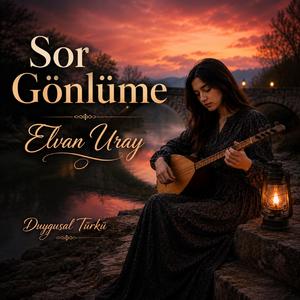 Sor Gönlüme
