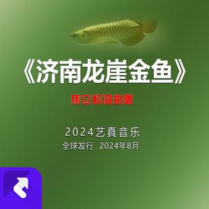 龙种金鱼 (现场)