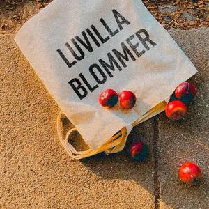 Blommer