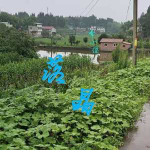 落晶