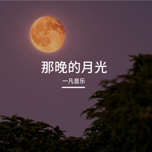 那晚的月光