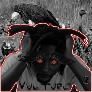 Vulture