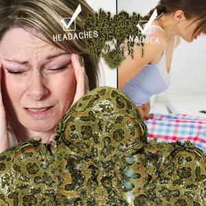 Orientation Of Strippled Smilisca Ventrolateral Wart