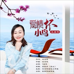 爱情坏小鸟 (DJ版)