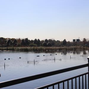 IMG_20220420_2053100