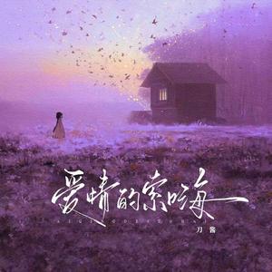 爱情的索嗨 (酱嗨版)