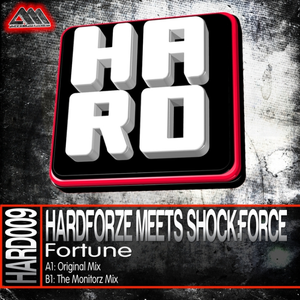 fortune (the monitorz mix)