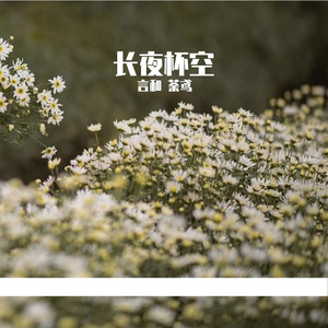 长夜杯空