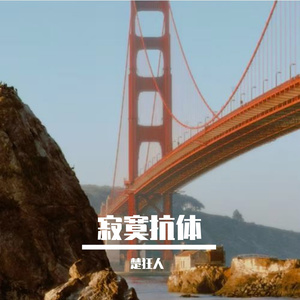 寂寞抗体