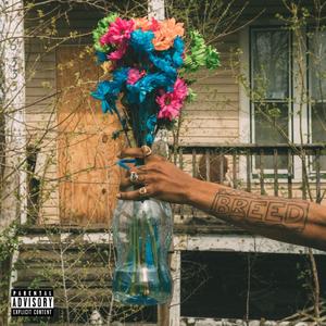 WHATS UP WITH THESE SEEDZ? (feat. TheGr8Thinkaz)