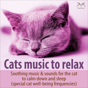 Cat Music for Relaxing and Sleeping - Cadence in e Major, Special Feel-Good Frequencies