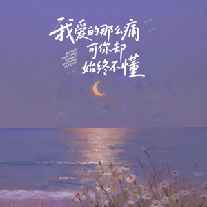 我爱的那么痛 可你却始终不懂