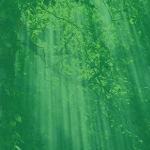 抚慰的温泉回忆